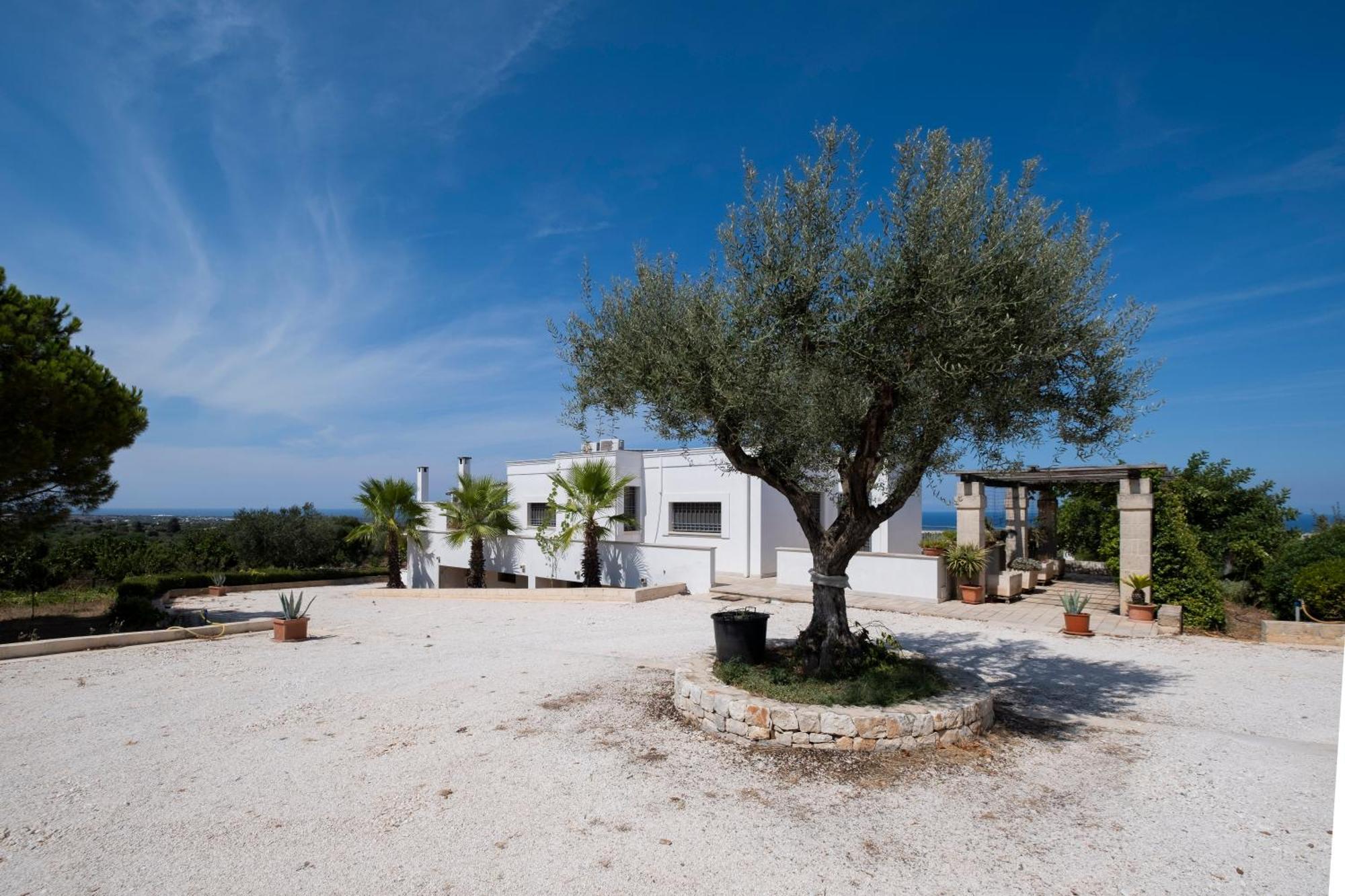 Il Carrubo Villa Polignano a Mare Ngoại thất bức ảnh